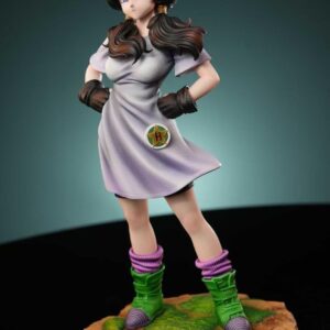 Dragon Ball JW Studio Videl School