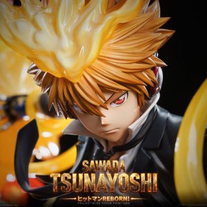 Katekyo Hitman Reborn Game Over Studio Sawada Tsunayoshi